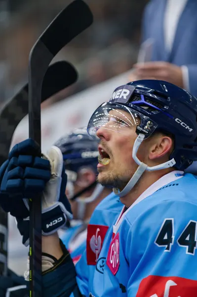 Radim Šimek, 11. 9. 2026, Liberec – Herning Blue Fox